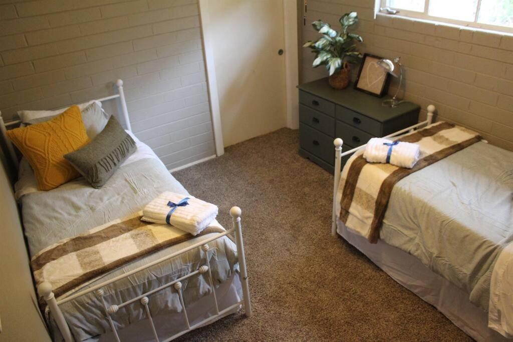 טמפה Remodeled Modern Ground Level Apt Blocks To Dwntn - B מראה חיצוני תמונה